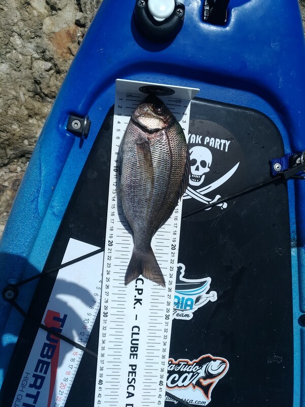 Fish Measure Picture